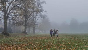 Olanda: bambini abbandonati nella foresta