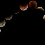 Eclissi lunare, gli effetti sulle persone, gli animali e le piante: cosa succederà stasera