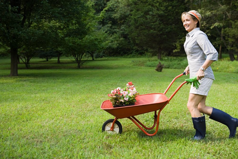 dimagrire senza dieta e palestra ma col giardinaggio