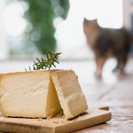 Il formaggio allunga la vita, la sorprendente scoperta della scienza: ecco l’ingrediente segreto che ci fa vivere di più