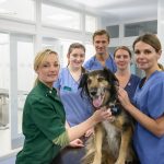 Paziente malato riabbraccia il cane e le sue condizioni migliorano subito: i benefici degli animali contro il cancro