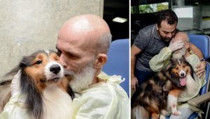 paziente malato con cane