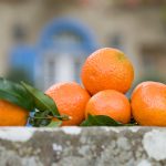 I mandarini fanno bene o fanno ingrassare? Ecco cosa succede al corpo se li mangiamo tutti i giorni