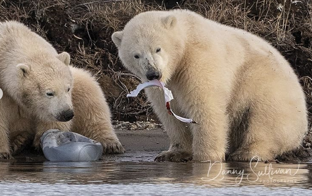 Credit photo: instagram.com/sullyimages/
