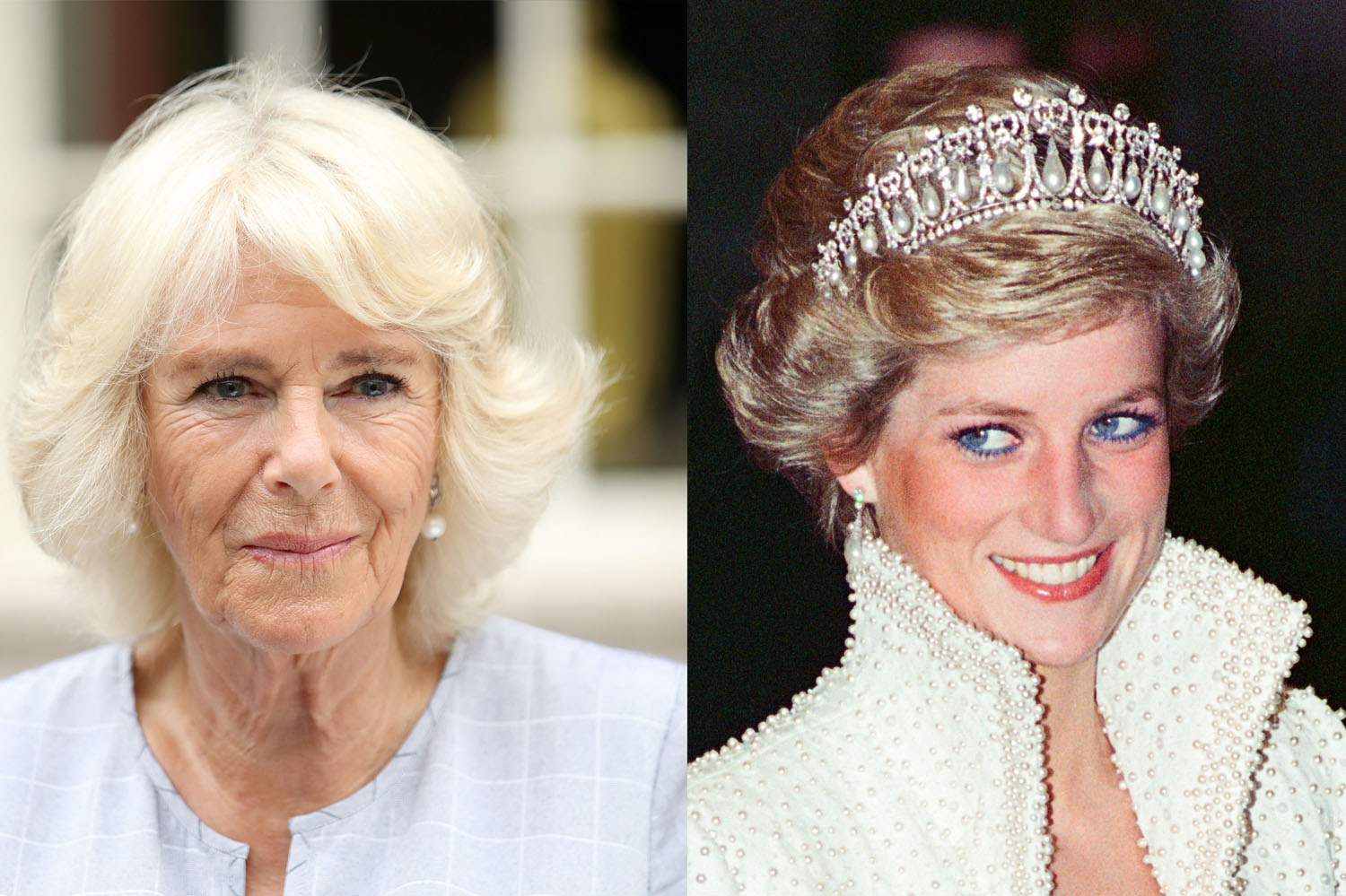 Lady Diana e Camilla: nuove verità