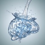 Gli effetti negativi sul cervello del bere poca acqua: tende a restringersi