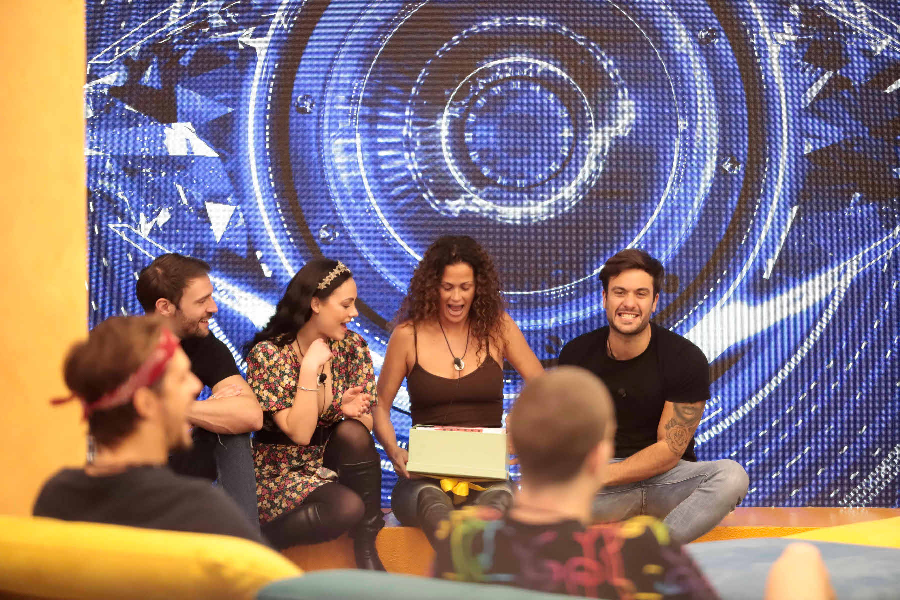 scherzo tommaso maiali galline