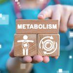 Quali sono i cibi che accelerano il metabolismo